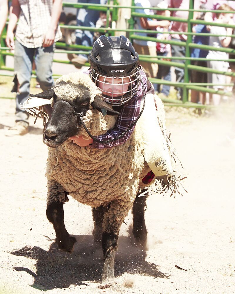 Fun at the Fairgrounds makes summertime sweet